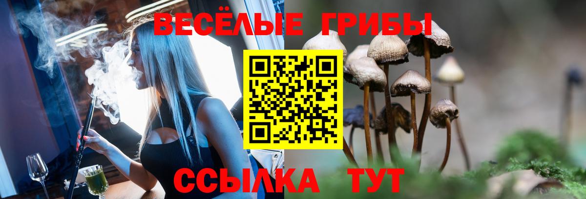 Клин  Галлюциногенные грибы GOLDEN TEACHER  Вход с VPN  купить наркотик  Псилоцибиновые грибы Magic Shrooms 